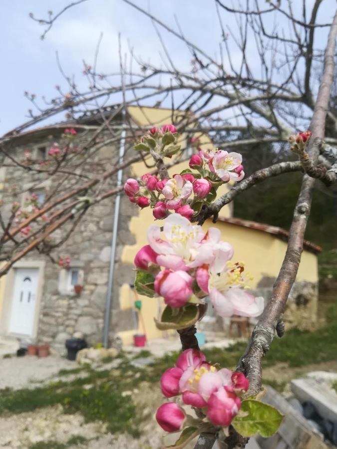 Skalameri Kozljak Exterior photo